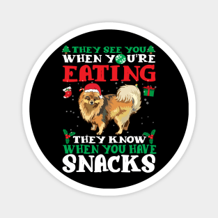 Christmas Dog Eating Snacks Magnet